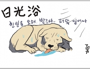 기사이미지