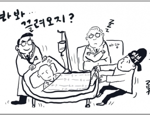 기사이미지